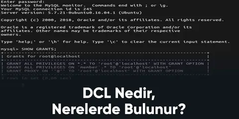 DCL Nedir, Nerelerde Bulunur?