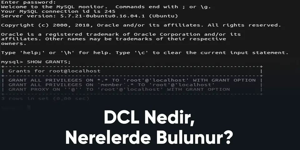 DCL Nedir, Nerelerde Bulunur?